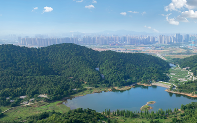 权门国际·(中国游)官方网站
